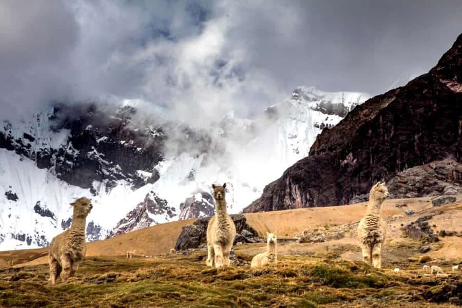 Excursion: Rainbow Mountain and Ausangate 7 Lagoons 2 days - Altitude and Fitness: The Part That Decides Your Enjoyment