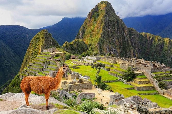 Excursion to MachuPicchu from Cusco with lunch | Private Service| - Key things I’d circle before you book