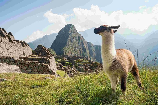 Excursion to MachuPicchu from Cusco with lunch | Private Service| - The Expedition Train to Aguas Calientes
