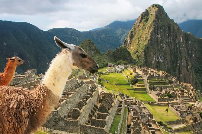 Excursion to MachuPicchu with Train Vistadome Full Day - Machu Picchu with a real guide: what the 2 hours 30 minutes gives you