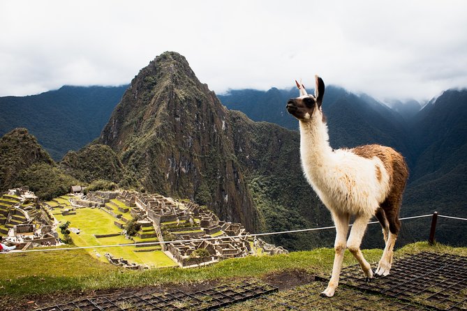 Excursion to MachuPicchu with Train Vistadome Full Day - The bus shuttles: simple on the outside, timing matters on the inside
