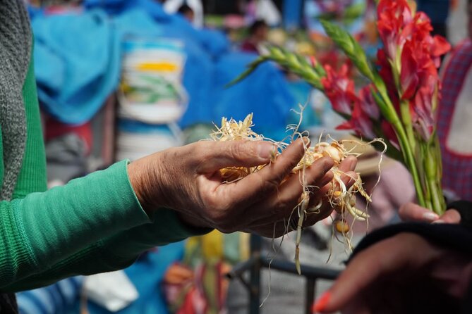 Food and Culture Full day Tour in the Sacred Valley - Key highlights you’ll care about