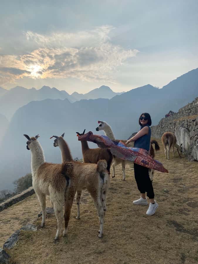 From Aguas Calientes: Machu Picchu guided tour with tickets - Inside the citadel: what your 3-hour guided walk really feels like