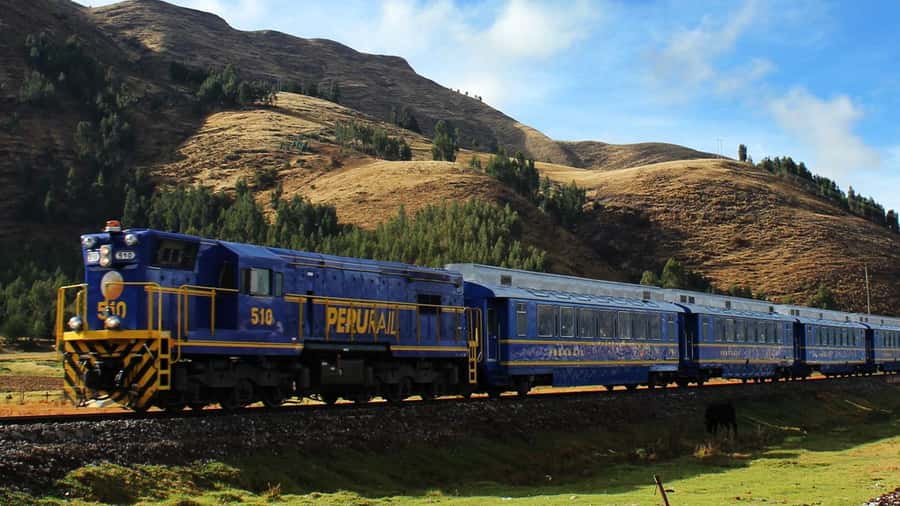 From Cusco: 1-day Machu Picchu Tour by Train - Key things I’d circle before you book