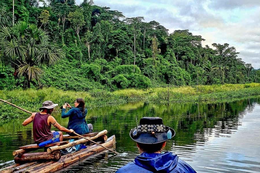 From Cusco: 4-Day Manu National Park Guided Tour - Lodging and Trail Comfort: Basic Setup, Real Jungle Conditions