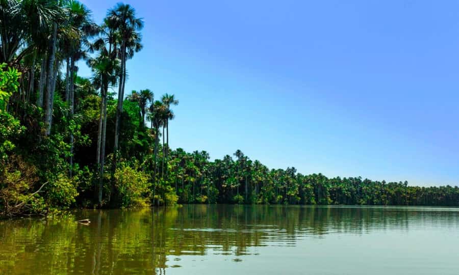 From Cusco: 4 Day Puerto Maldonado Sandoval Lake Excursion - Price and Value: Is $430 a Fair Deal for Tambopata?