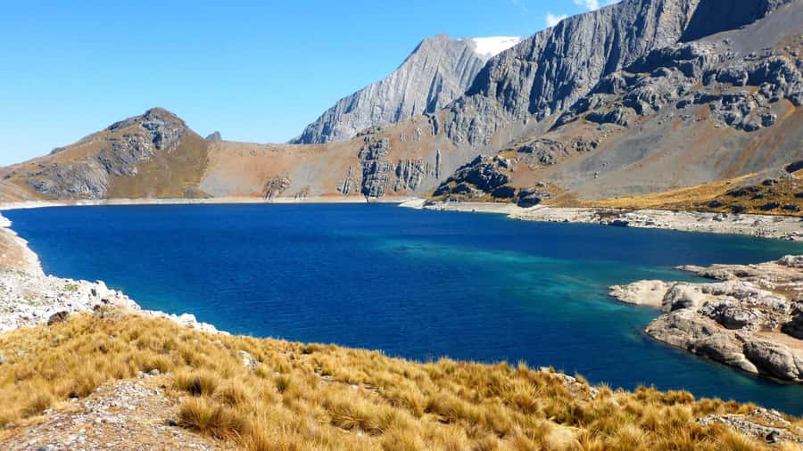 From Cusco: 7 Lagoons Tour - Lagoon stops: views, animals, and the real rule—watch your footing