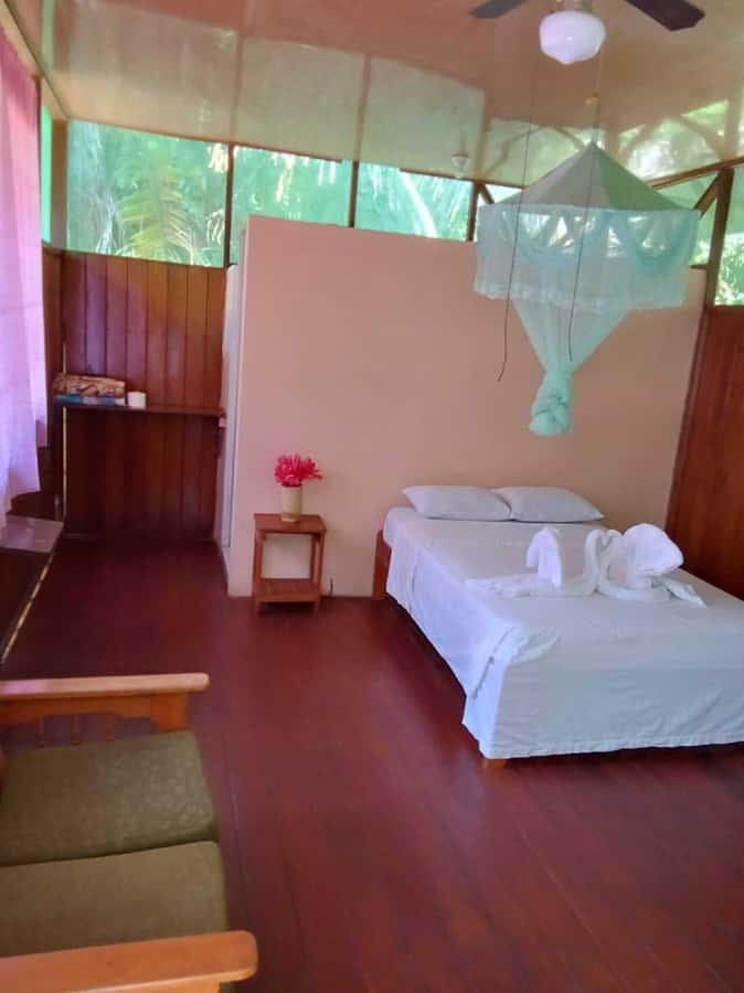 From Cusco: Amazon jungle for two days with sleeper bus and private lodge - Day 2: Tambopata National Reserve Walk (3 km) to Sandoval Lake Paddling