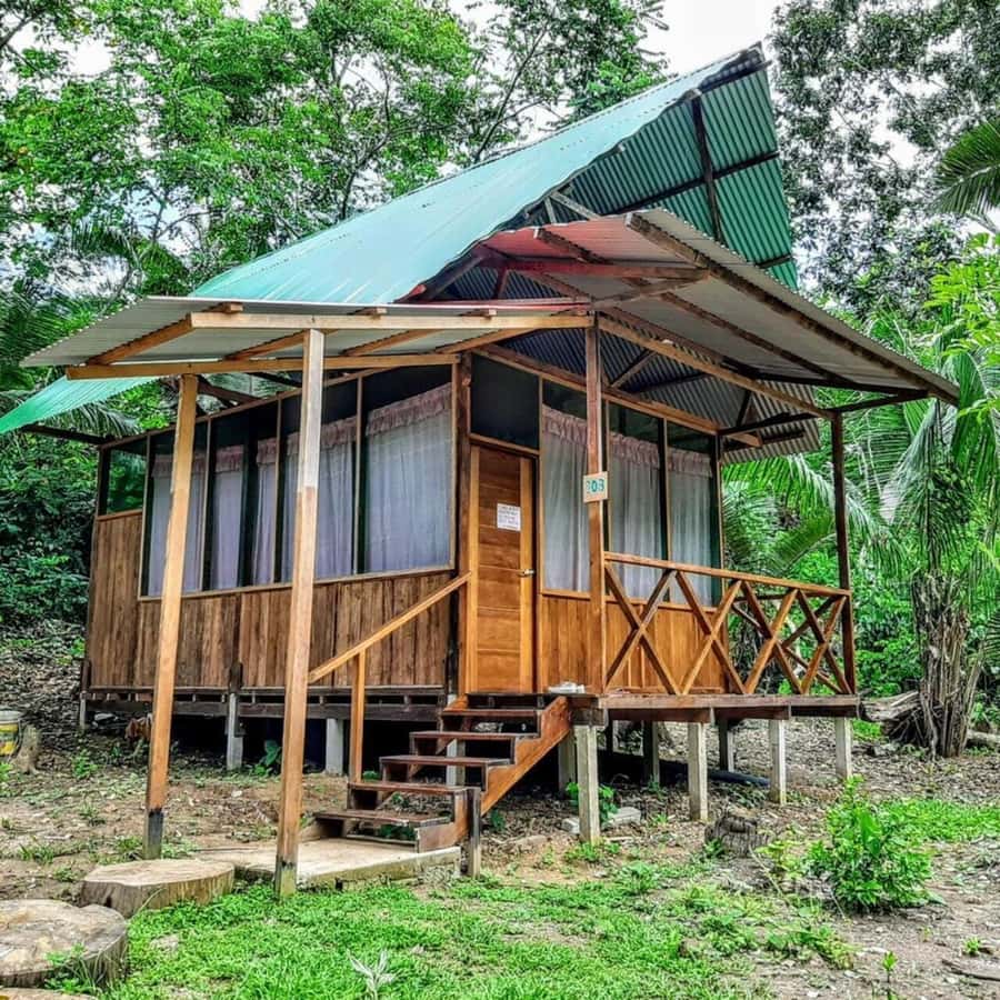 From Cusco: Amazon jungle for two days with sleeper bus and private lodge - The Booking Choice: Who This Tour Fits Best