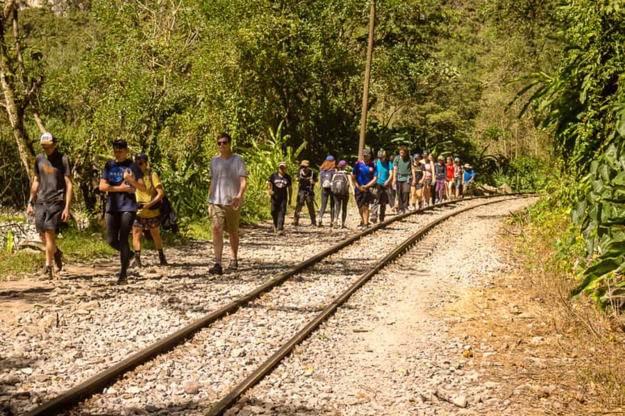 From Cusco: Full-Day Round-Trip Train Tour to Machu Picchu - Ollantaytambo to Aguas Calientes: The Train Segment You Feel in Your Feet