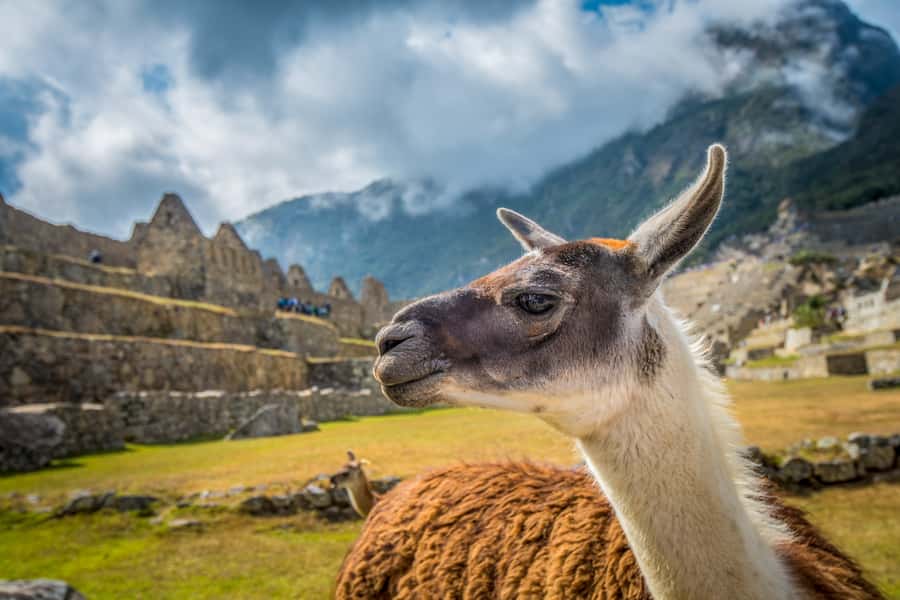 From Cusco: Machu Picchu Full-Day Guided Tour - Aguas Calientes on the return: meal time and a short town reset