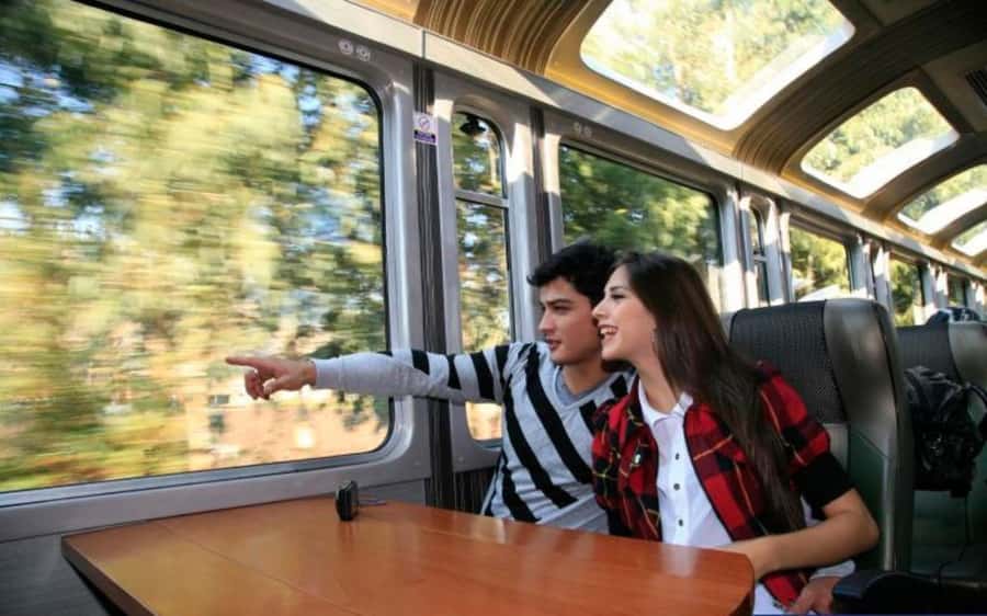 From Cusco: Machu Picchu Private Day Trip on Panoramic Train - Key details that matter most