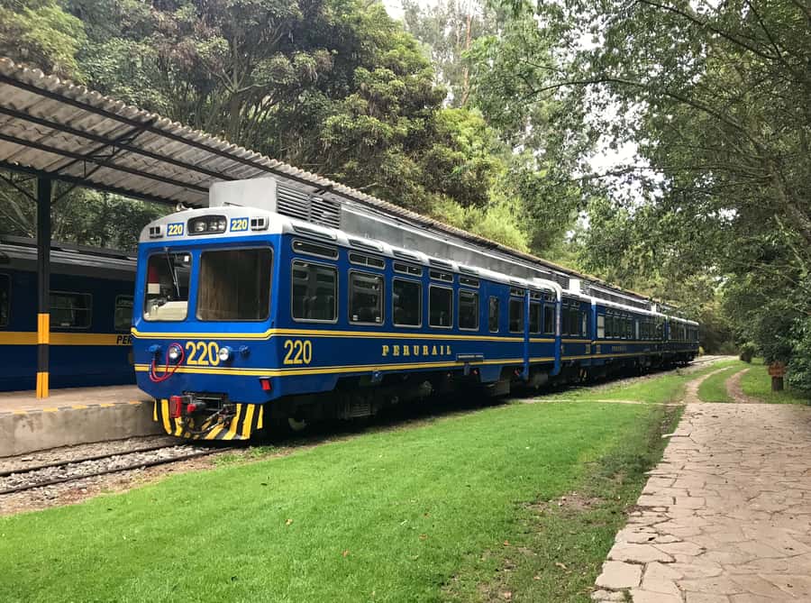 From Cusco: Machu Picchu Private Day Trip on Panoramic Train - Aguas Calientes check-in and the 30-minute bus climb