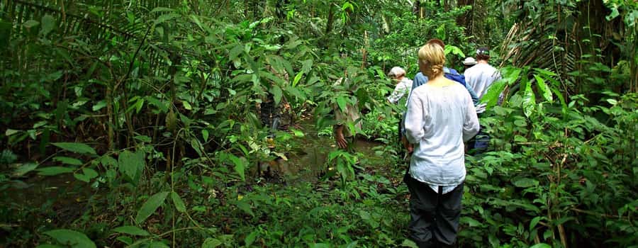 From Cusco: Manu National Park 3 Day Tour - Day 2: Coca plantation, rescue center, and kayaking the Alto Madre de Dios