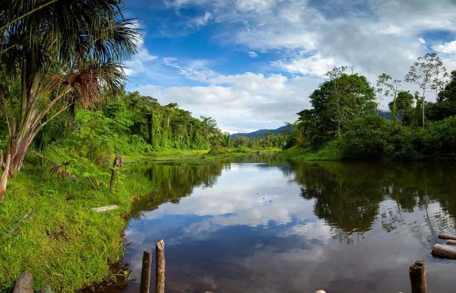 From Cusco: Manu National Park Tour & Accommodation 3 Days - Who should book this Manu 3 Days tour