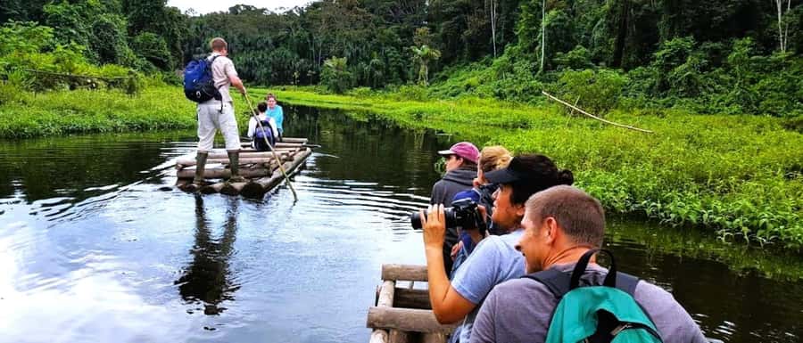 From Cusco: Manu National Park Tour & Accommodation 3 Days - Manu National Park from Cusco: what this 3-day plan feels like