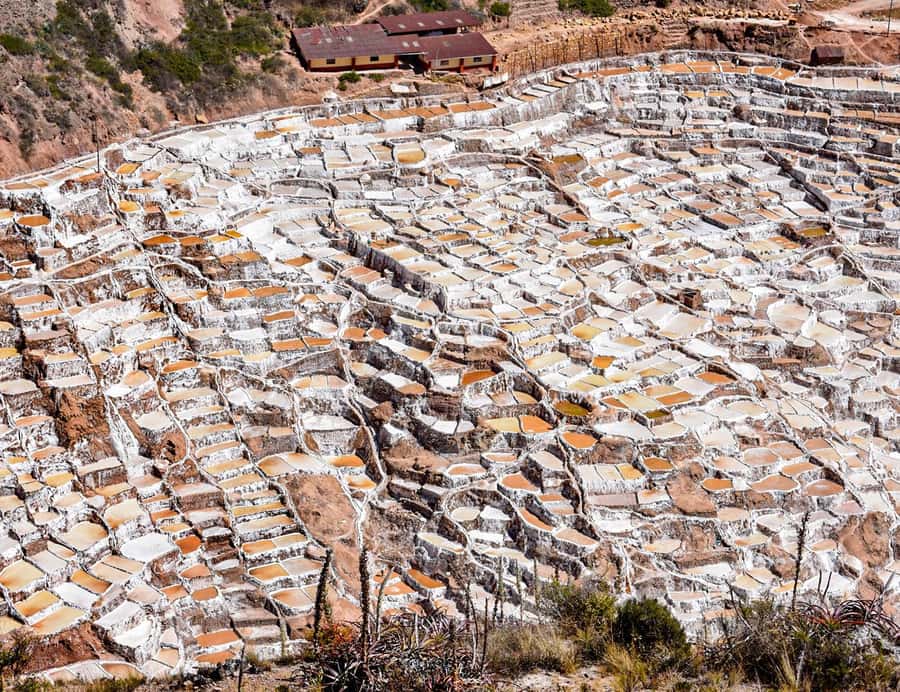 From Cusco: Moray, Maras Salt Mines & Chinchero Weavers Tour - Who This Tour Suits (and Who Might Want a Different Plan)
