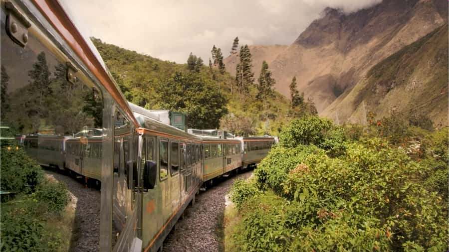 From Cusco: One-Day Round Trip to Machu Picchu by Train - Bus up to Machu Picchu: what the guided 3-hour visit is for
