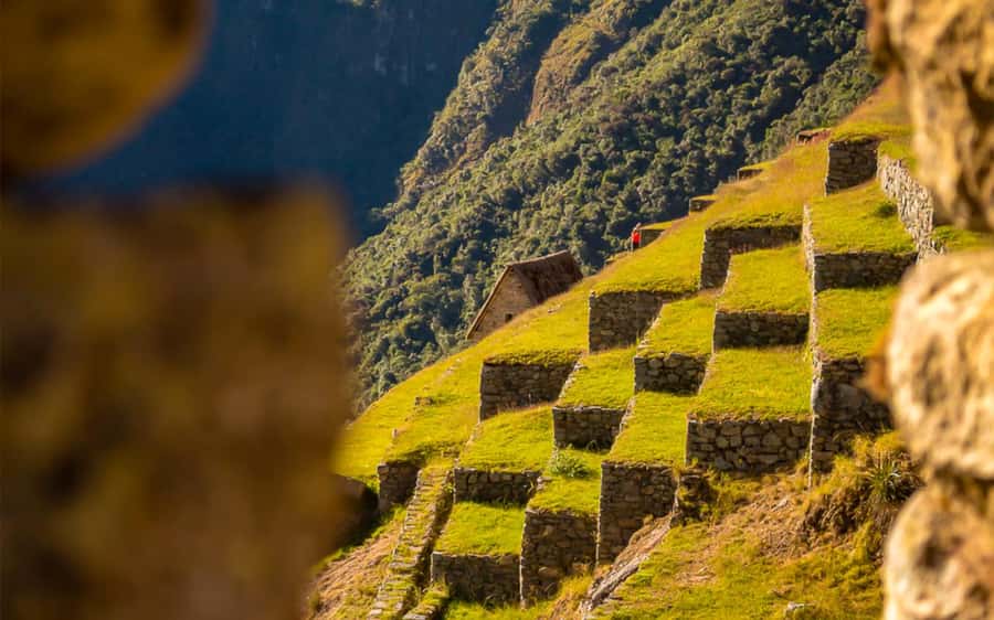 From Cusco: One-Day Round Trip to Machu Picchu by Train - Free time for photos: where your time goes after the guide