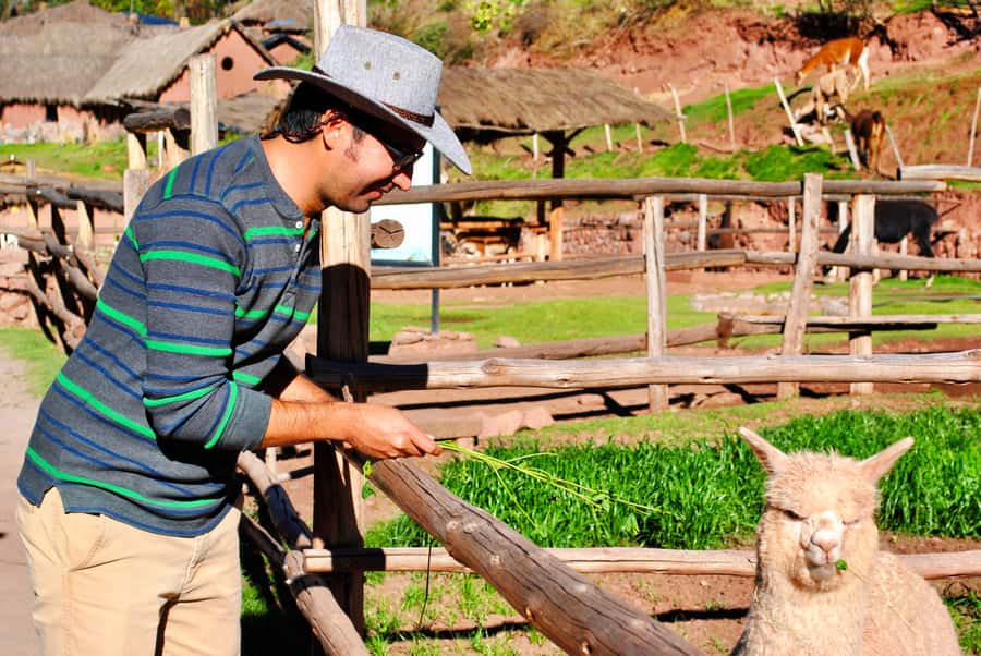 From Cusco: Private Pisac Ruins and Alpaca Farm Day Trip - Manos de la Comunidad: a quick craft stop with real people behind it