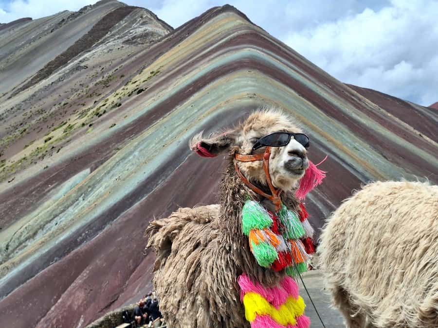 From cusco: Rainbow Mountain ATV Tour with meals - Lunch back in Cusipata: real food after the ride