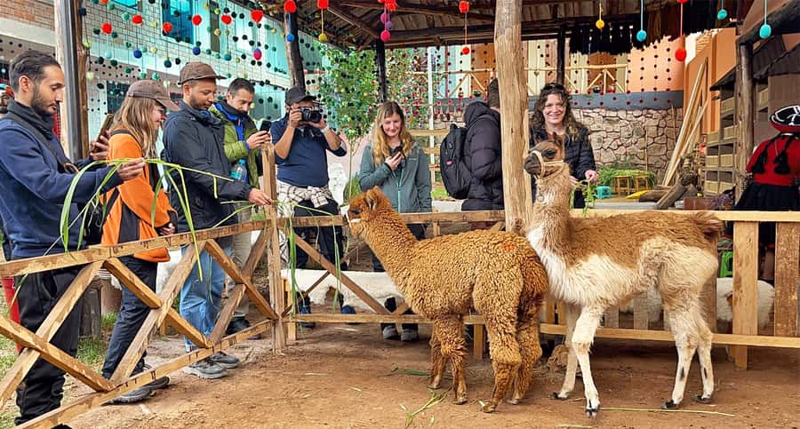 From Cusco: Sacred Valley & Maras Salt Mines Tour with Lunch - Key reasons this Sacred Valley day works