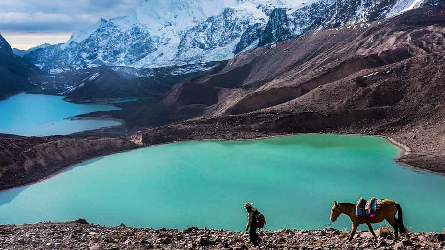 From Cusco: Salkantay trek 5 days/4 nights meals included - Salkantay’s big trick: changing climates in 5 days