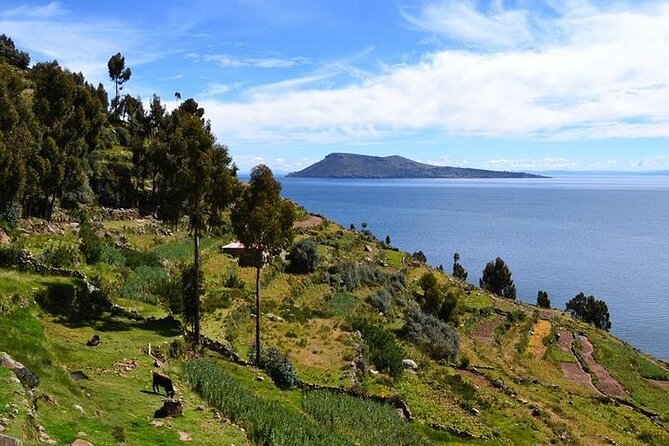 From Cusco to Lake Titicaca: 2-Day Homestay Tour - Night Bus to Puno: The Smart Way to Start This Route