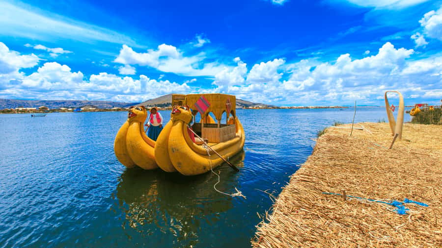 From Puno: Travel to Cusco in Titicaca Train All Inclusive - Should You Book the Titicaca Train All Inclusive From Puno?