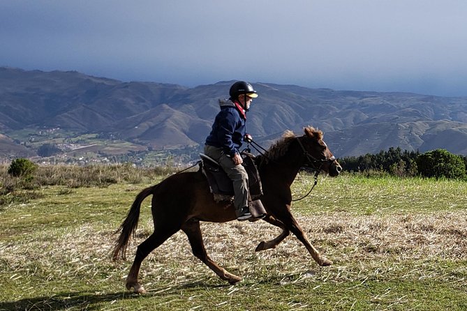 Half day Horseback Riding tour around Sacsayhuaman park - Getting from Cusco to Sacsayhuaman the easy way