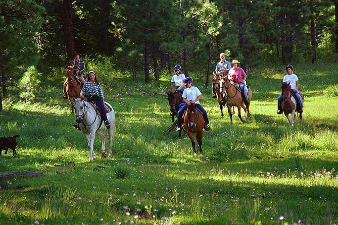 Horseback Riding Plus Tour to Sacsayhuaman, Quenqo, Puka Pucara and Tambomachay - Vieja Estancia Ranch: helmets on, horse matched to you