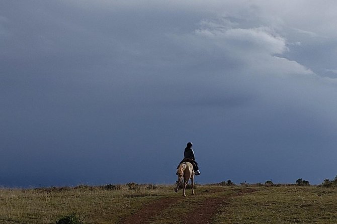 Horseback Tour in cusco to Temple of the Moon & Hidden temples - Key things to know before you go
