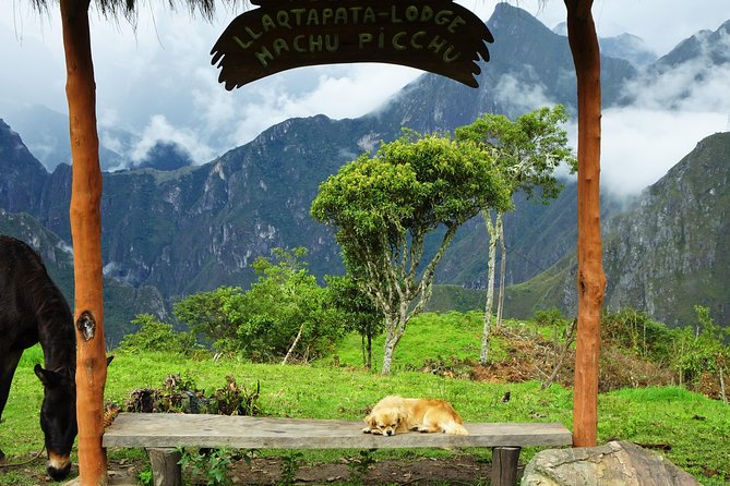 Inca Jungle Premium to Machu Picchu 4-Day and 3-Nights - Fitness, timing, and the real-life pace you should expect