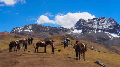 Lima: 7-Day Inca Tour with Flights and Machu Picchu - Paracas, Ica, and Huacachina: sea lions, pisco, and sand sports