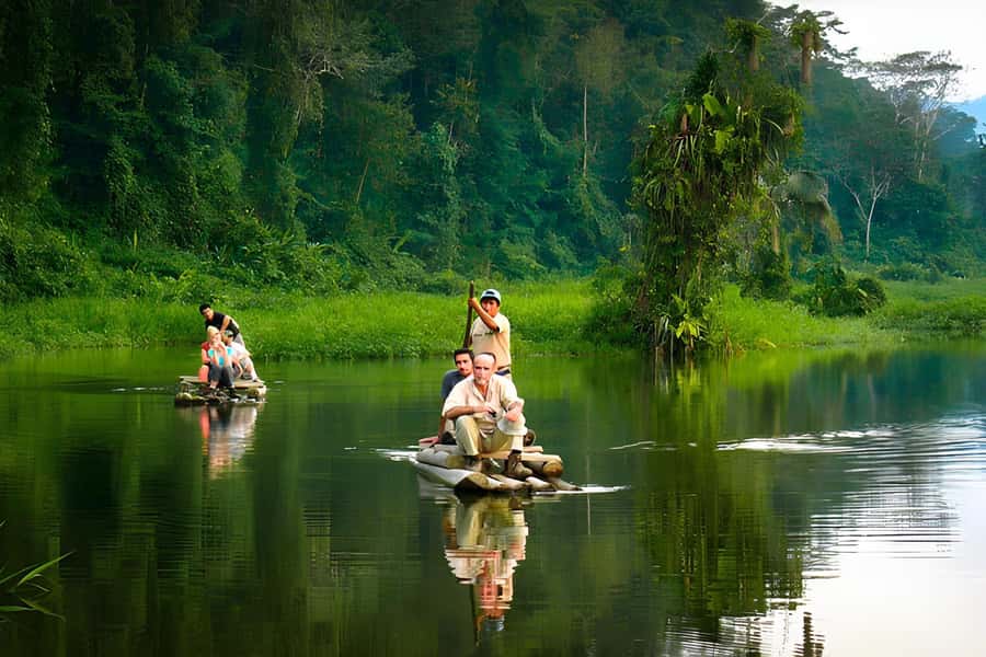 Living Nature from Cusco: 3 Days Manu Jungle all inclusive - Key highlights to look for