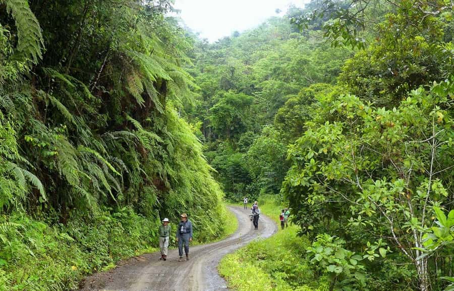 Living Nature from Cusco: 3 Days Manu Jungle all inclusive - Day 1: Lupaca tombs, Paucartambo, and the cloud-forest descent to Pilcopata