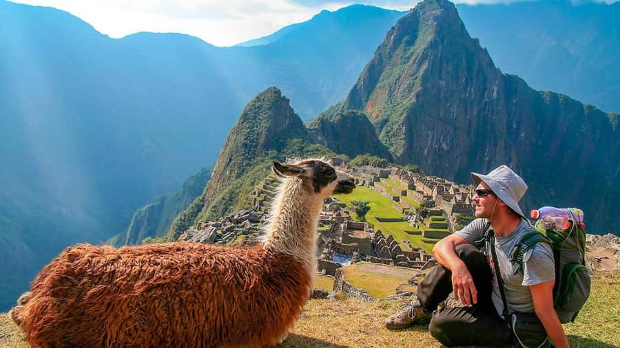 Machu Picchu: 1-day tour by Vistadome Panoramic train - Key things to know before you go