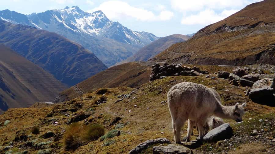 Machu Picchu 2 Days / 1 Night (By Bus) - Key moments that make this tour tick