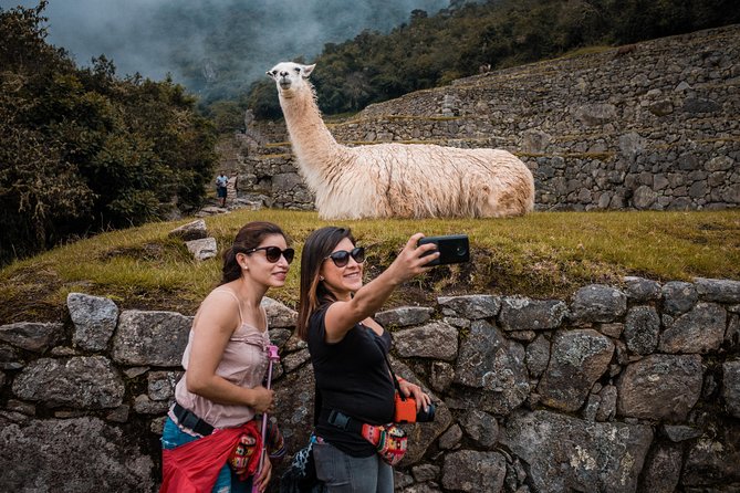 Machu Picchu Day Trip from Cusco - Choosing your train: Expedition vs Vistadome vs Executive (and why it affects your mood)
