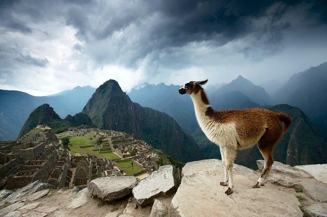 Machu Picchu Entrance Ticket - Machu Picchu ticket basics: what you’re really buying