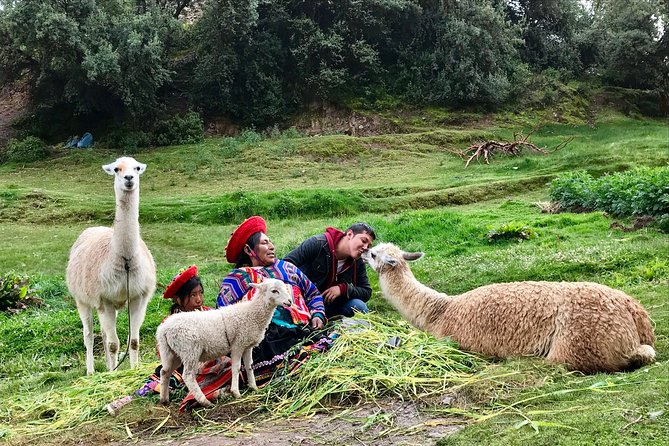Machu Picchu Full Day from Cusco - Guides and small-group size: where the day improves