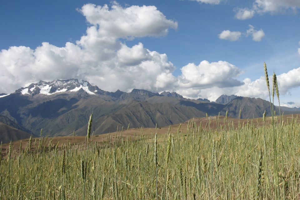 Machu Picchu: Private Full-Day Tour with Afternoon Entrance - Photos, llamas, and timing your energy