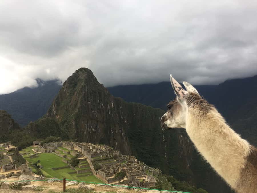 Machu Picchu: Private Tour Guide Service - After the main tour: choosing Montaña, Huayna Picchu, or Huchuy Picchu