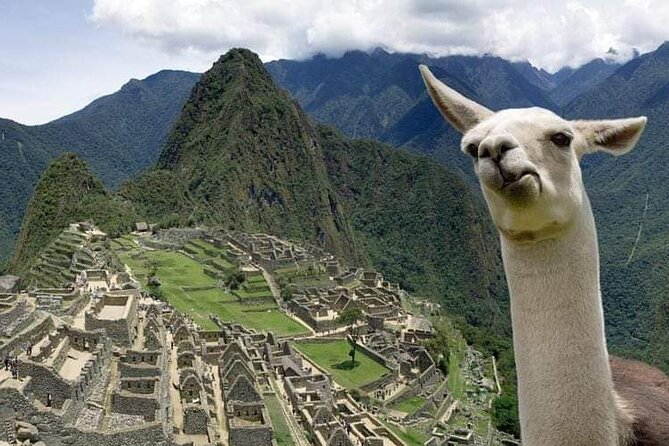 Machu Picchu Small Group Day Tour from Cusco - 7) Price and value: what your $335 is really buying