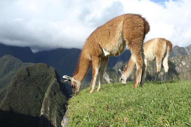 Machu Picchu Tour From Cusco Full Day - Price and Value: Is $425 Worth It?