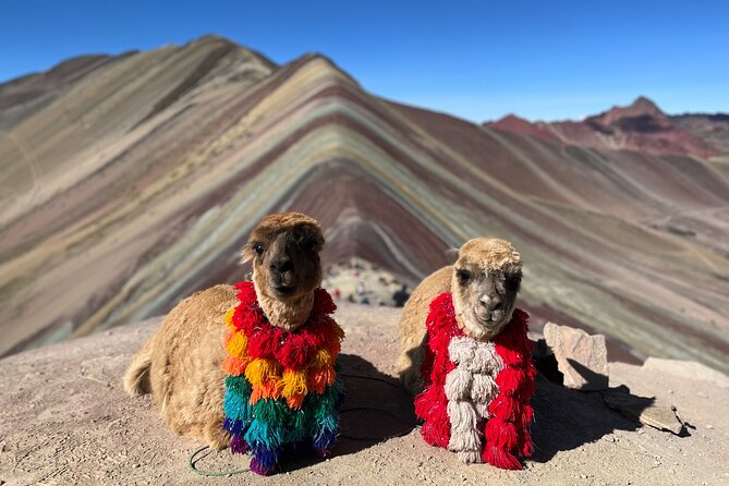 Machupicchu Exclusive Experience - Machu Picchu entry with a private guide (and less crowd stress)