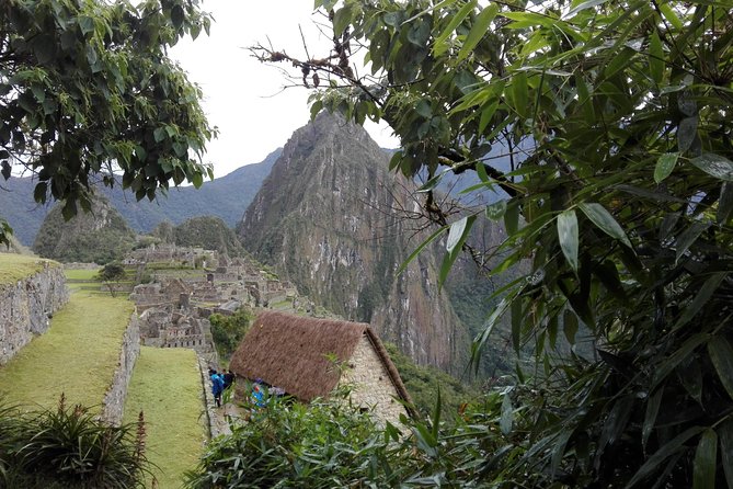 Machupicchu Guide Service - A private 4-hour Machupicchu guide from Aguas Calientes (the real appeal)
