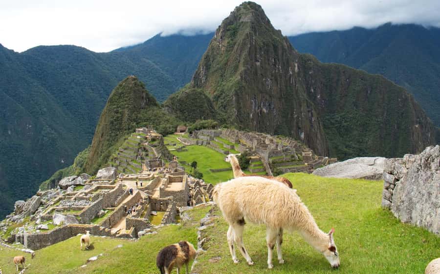 Machupicchu tour by tourist train in 2 days - Should You Book This Machu Picchu Tour by Train?