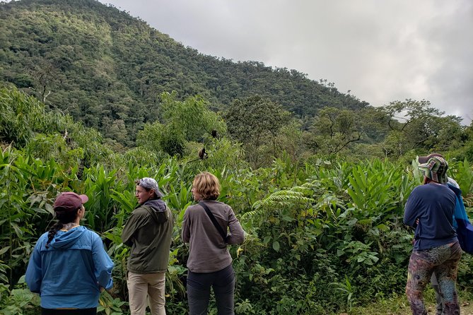 Manu National Park Tour 4days/3night - Jungle hikes plus hot springs: the daily rhythm that makes the rainforest feel doable