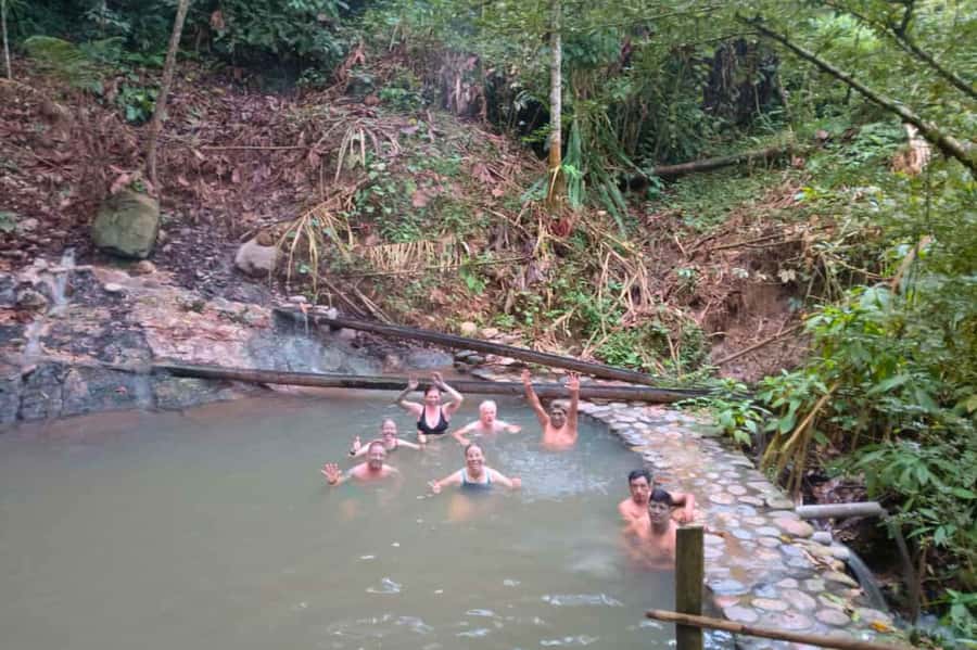 Manu National Park Tours from Cusco 5 Days - Day 4: Back to Bambu Lodge with trail time and plant talk